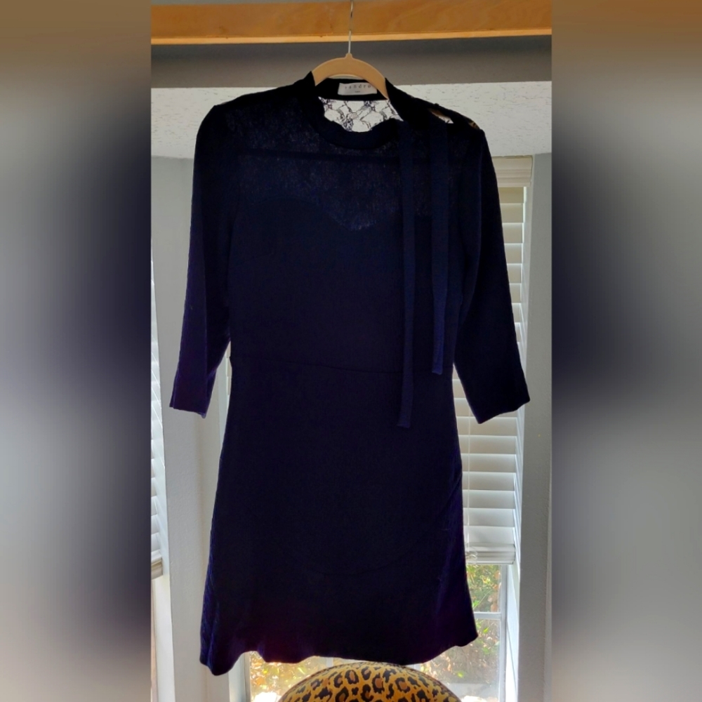 Sandro Paris Professional Dress